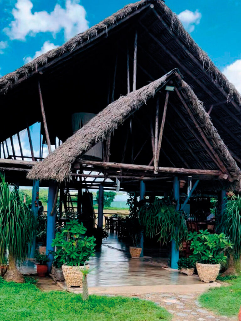 Vega_de_Héctor_Luis_en_San_Juan_y_Martínez_1