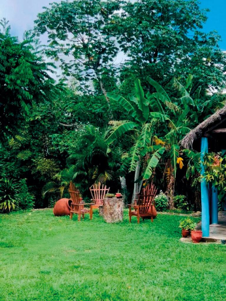 Vega_de_Héctor_Luis_en_San_Juan_y_Martínez_2