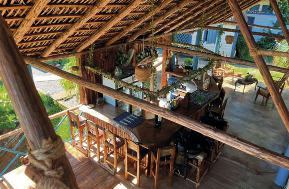 Vega_de_Héctor_Luis_en_San_Juan_y_Martínez_6