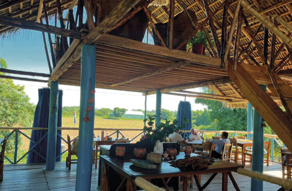 Vega_de_Héctor_Luis_en_San_Juan_y_Martínez_8